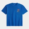 Camiseta gráfica cuadrada de la Daytona 500