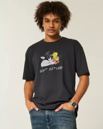 Camiseta gráfica cuadrada de peso pesado de los Looney Tunes
