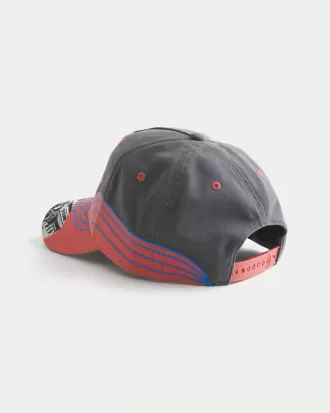 Gorra de béisbol con gráfico de Dodge