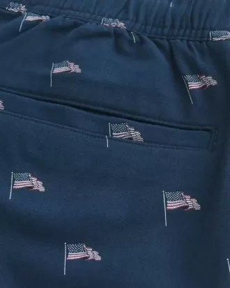Shorts con estampado de mezcla de lino por encima de la rodilla