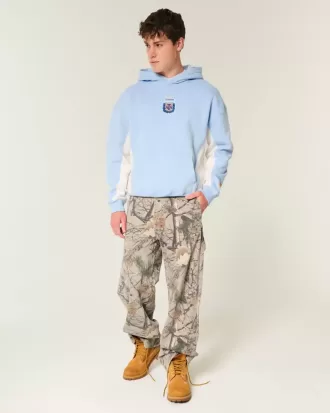 Sudadera con capucha gráfica de la Asociación Argentina de Fútbol