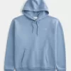 Sudadera con capucha Icon