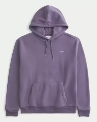 Sudadera con capucha Icon