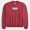 Sudadera con cuello redondo y gráfico del Arsenal FC Sudadera con cuello redondo y gráfico del Arsenal FC